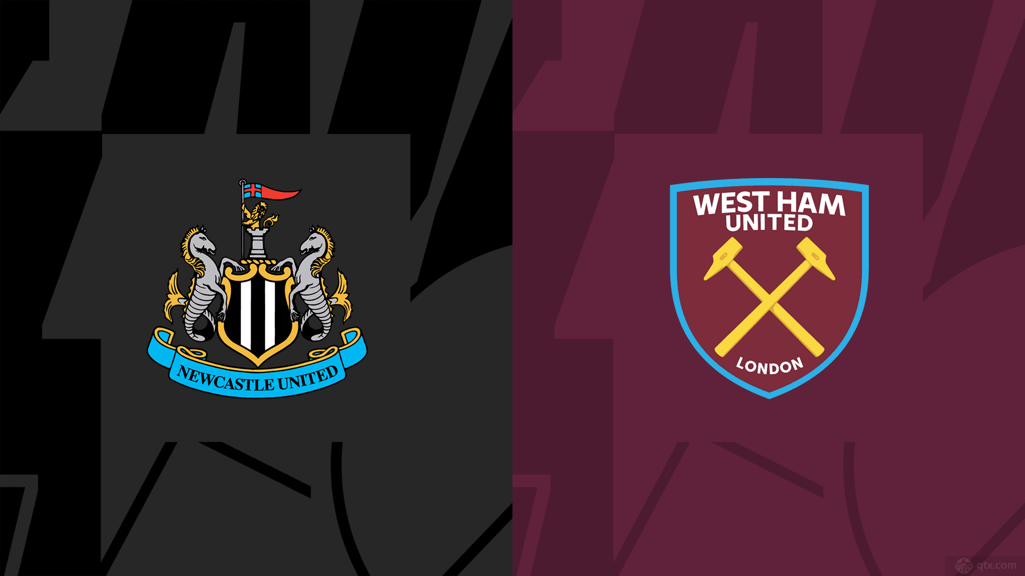 他不仅了解 他不仅了解